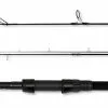 Daiwa Vertice Carp 12 Ft 3,50 Lbs
