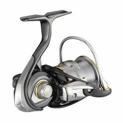 Daiwa 20 Luvias Airity FC LT 3000 8 Daiwa 20 Luvias Airity FC LT 3000 -Angelruten Verkaufsladen 10010 255 luvias airity fc lt 2500 xh detail 3z9b0Ulh62aJwn 1280x1280