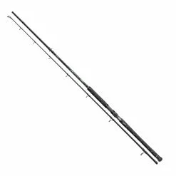 Cormoran Big Cat Pro Long Range 300cm 200-600g