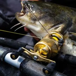 Shimano Calcutta Conquest 201 A -Angelruten Verkaufsladen CALCUTTA Conquest 18 1250x1250px V6 1280x1280