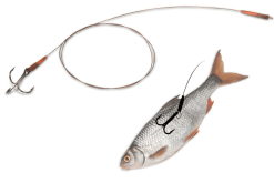 Quantum Mr. Pike Float Rig Leader 14 Kg Gr. 1-2 1 Haken