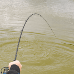 Preston Supera X Feeder 11 Ft -Angelruten Verkaufsladen SUPERA X FEEDER RODS3 1280x1280