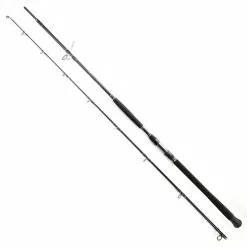 Daiwa Exceler Catfish 270cm 200-600g