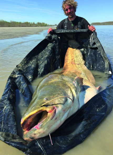 Black Cat Hard Core Wiegematte 210x156 Cm 3 Black Cat Hard Core Wiegematte 210x156 Cm – Bild 3